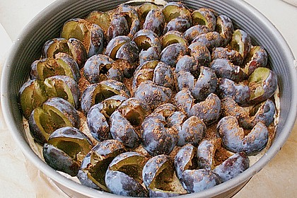 Pflaumenkuchen 46