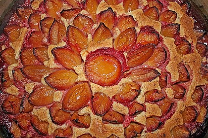 Pflaumenkuchen 23