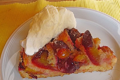 Pflaumenkuchen 38