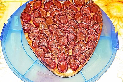Pflaumenkuchen 20