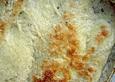 Fenchel - Tomaten - Lasagne