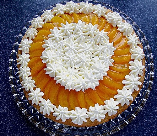 Aprikosen Ringel Torte — Rezepte Suchen