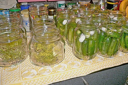 Gewürzgurken 10