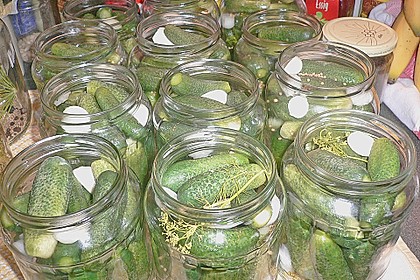 Gewürzgurken 9