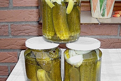 Gewürzgurken 16