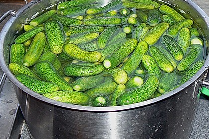Gewürzgurken 5