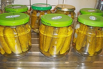 Gewürzgurken 1