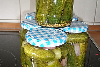 Gewürzgurken 17