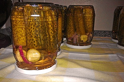 Gewürzgurken 18