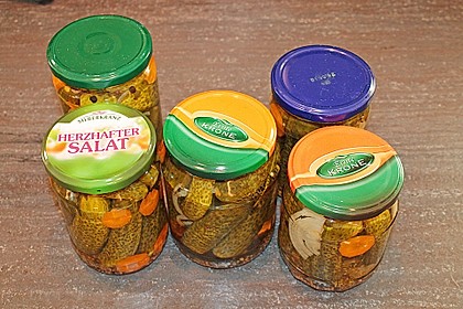 Gewürzgurken 22