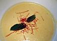 Pastinaken - Apfel - Suppe