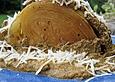 Wei&szlig;kohl mit Tomaten und Pecorino
