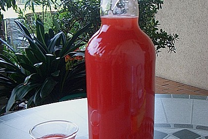Erdbeerlik&ouml;r 2