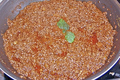 Bolognese 8