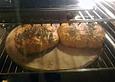 Tomaten - Paprika - Brot