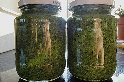 B&auml;rlauchpesto 4