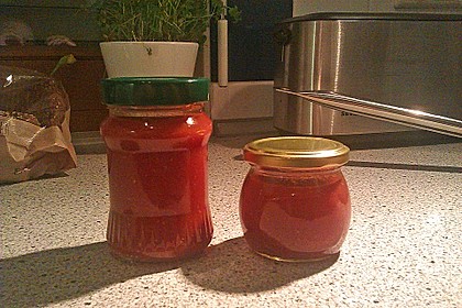 Selbst gemachter Ketchup 17