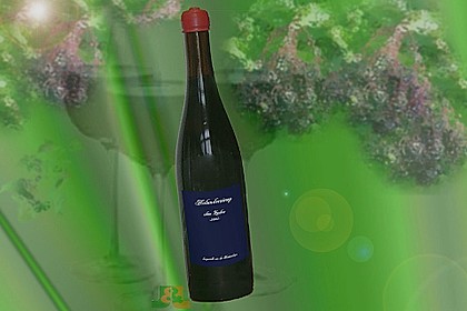 Holundersaft bei Erkältung / Basissaft 16