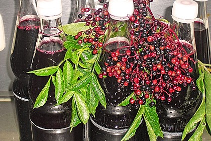 Holundersaft bei Erkältung / Basissaft 5