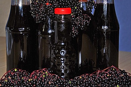 Holundersaft bei Erkältung / Basissaft 1