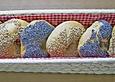 Mohn- und Sesambagel
