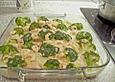 Edelfisch - Gratin mit Brokkoli