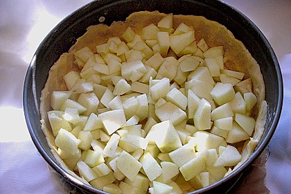 Apfelkuchen 15