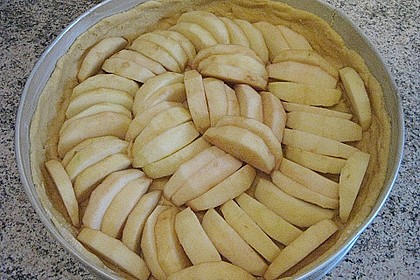 Apfelkuchen 18