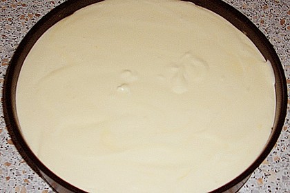 Apfelkuchen 16