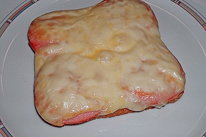 Fleischwurst - Toast