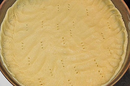 Johannisbeerkuchen 13