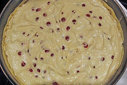 Johannisbeerkuchen 14