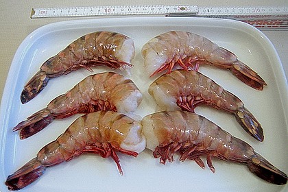 Schrats „Surf and Turf“ 21
