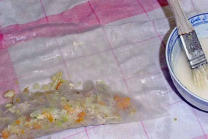 Frühlingsrolle - die Perfekte 5