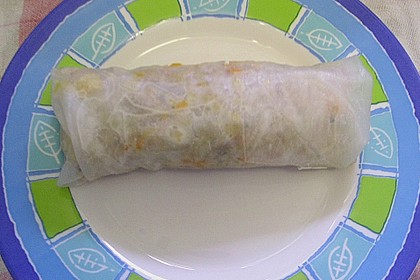 Frühlingsrolle - die Perfekte 2