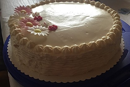 Die weltbeste Käsesahne -Torte 11