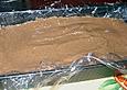 Diplomatenpudding