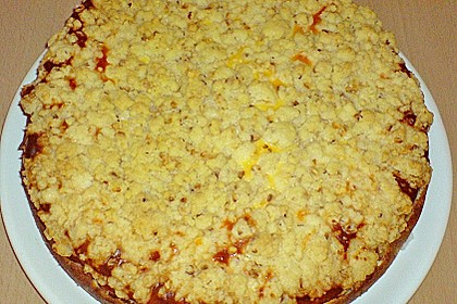 Apfel - K&auml;se - Kuchen 6
