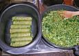 Vegetarische Gem&uuml;se - Pilz - Cannelloni