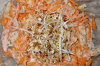 Karotten - Apfel - Rohkostsalat mit Mungobohnensprossen 1