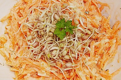 Karotten - Apfel - Rohkostsalat mit Mungobohnensprossen