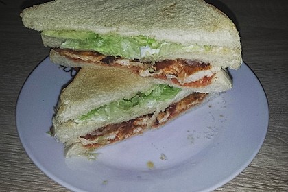 New York Club Sandwich 31