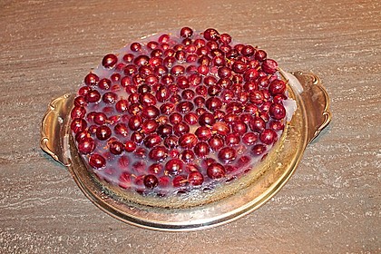 Tortenboden 53