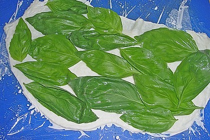 Mozzarella - R&ouml;llchen mit Lachs auf Rauke 6