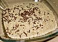 Ameisen im Sand