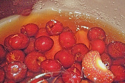 Rumtopf 15