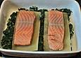 Lachs im Lasagneblatt