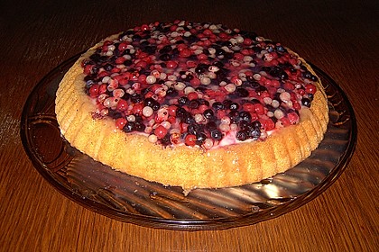 Obsttortenboden 9