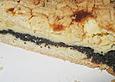 Quark - Mohn - Kuchen