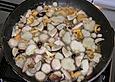 Champignonrisotto